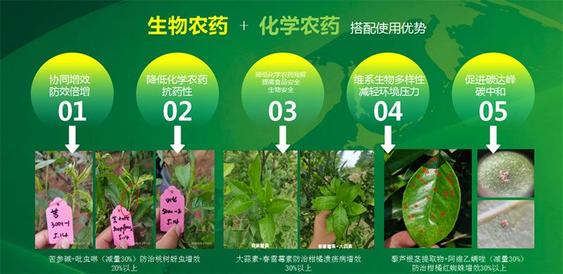 新朝陽在第六屆中國農藥行業市場和銷售高峰論壇做“生物農藥+化學農藥，引領植保市場未來”主題報告