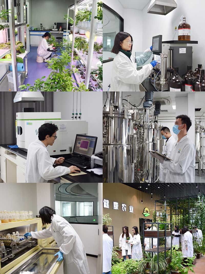 “全國(guó)科技工作者日”：推動(dòng)農(nóng)業(yè)綠色高質(zhì)量發(fā)展，新朝陽(yáng)科研人在路上