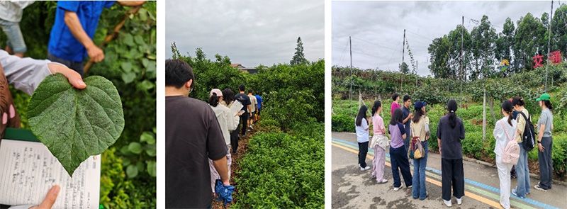 首個！中國農業大學攜手新朝陽啟動“朝陽稼穡計劃”