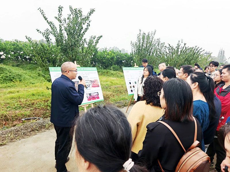 新朝陽生物技術(shù)助力綠色防控，推動(dòng)柑橘產(chǎn)業(yè)綠色高質(zhì)量發(fā)展